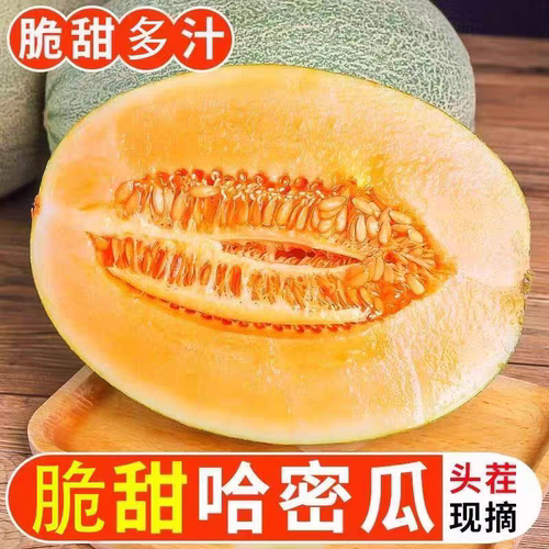 正宗海南哈密瓜西州蜜晓蜜新鲜水果蜜瓜网纹甜瓜烈焰蜜瓜脆甜甜瓜