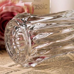 轻奢水晶花瓶客厅插花高级感加厚玻璃摆件水养鲜花瓶2024新款 高档