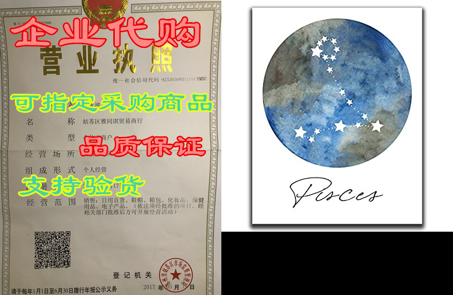 pisces zodiac astrological sign constellation moon wall a