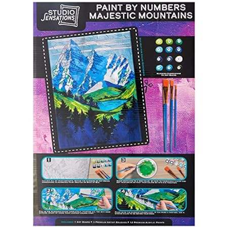 Anker Play Products Paint by Numbers Art Kit – Majestic M