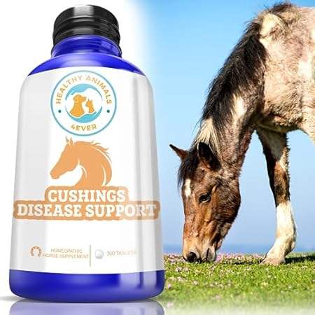 Healthy Animals 4Ever All-Natural Equine Digestive Supple