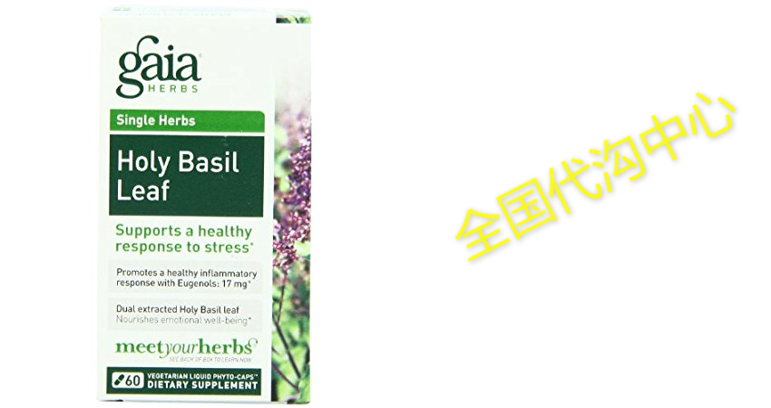 Gaia Herbs Holy Basil Leaf, 60 Liquid Phyto-Capsules