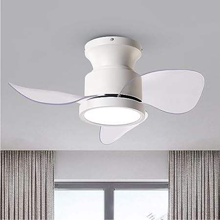 Roomratv Ceiling Fans with Lights 22 inch Quiet Ceiling F