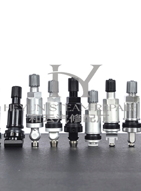 适用于雷克萨斯 GS300 GX460 LX570 胎压监测传感器 气门嘴 气嘴