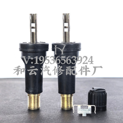 胎压监测传感器气门嘴发光发亮