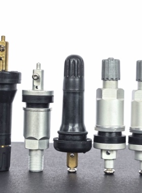 适用东风 御风 小康风光 俊风 菱智虎视胎压监测传感器气门嘴气嘴