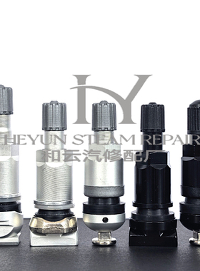 适用奔驰CLS300 CLS350 CLS400 CLS450胎压监测传感器气门嘴 气嘴