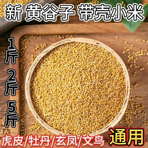 新黄谷子鹦鹉鸟粮虎皮玄凤牡丹谷子带壳饲料鸟食种子粮专用鸟食