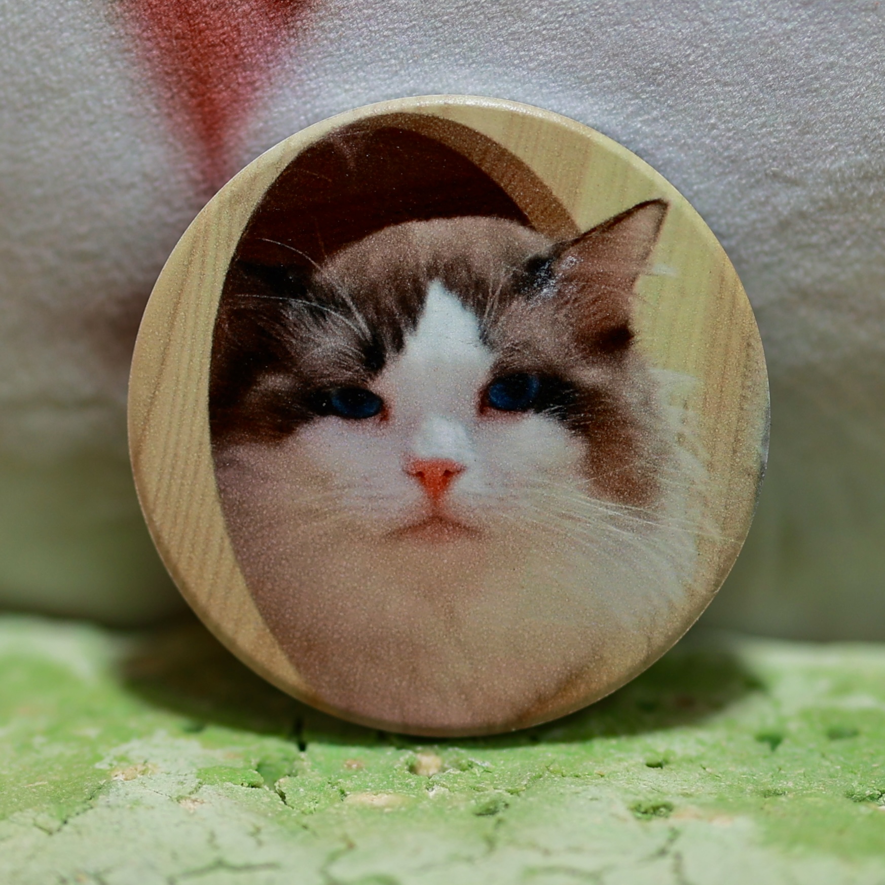 【猫不理周边】（猫-紫檀）冰箱贴 磁吸 陶瓷冰箱贴