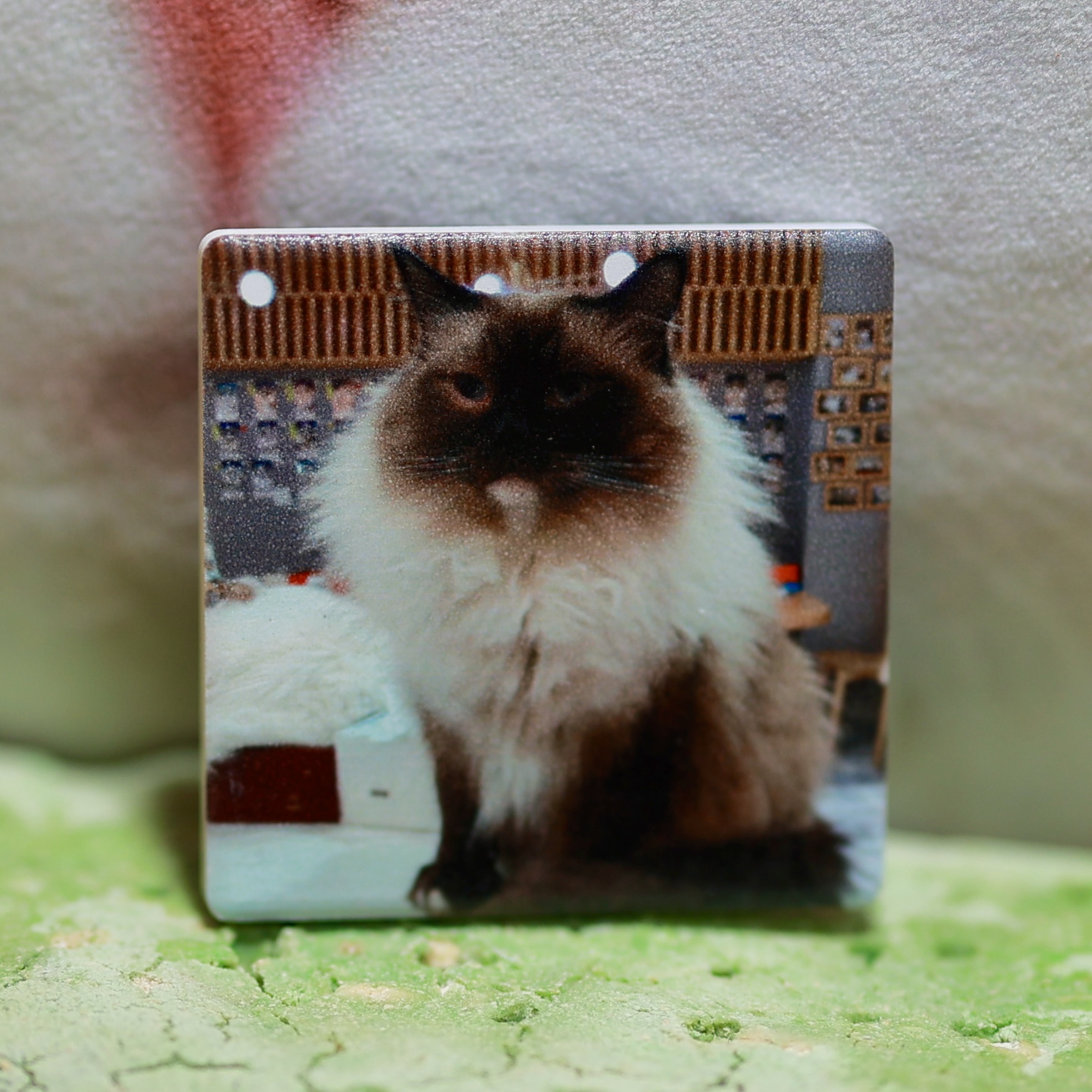 【猫不理周边】（猫-小黑脸）冰箱贴 磁吸 陶瓷冰箱贴