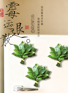 柚子叶冰箱贴去晦气专用挂饰品绿色植物造型装饰贴