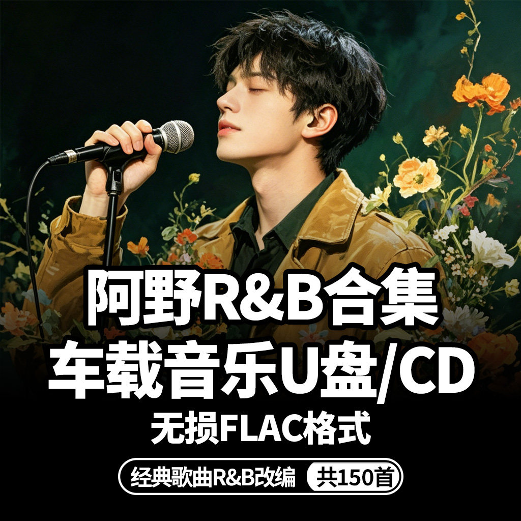 阿野r&b蓝调合集usb车载音乐u盘歌曲cd碟片flac无损高音质
