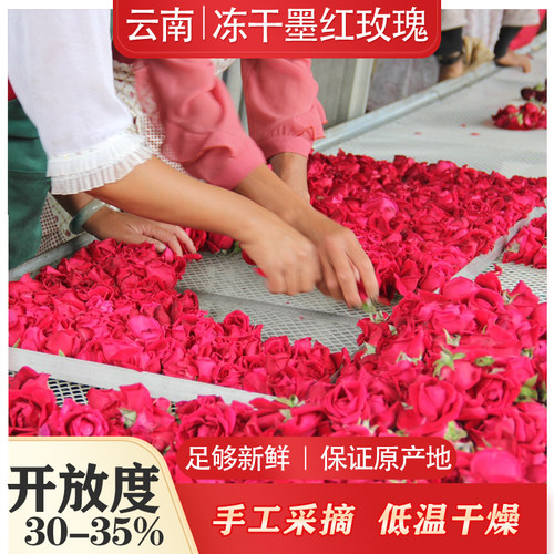 云南墨红玫瑰花茶低温冻干