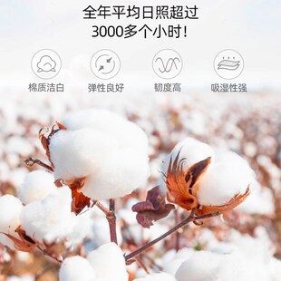 纯棉polo衫 工衣印logo 定制工作服T恤员工团体展会广告文化衫 短袖