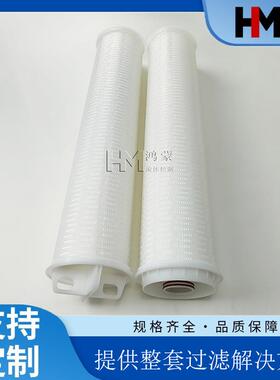 替代3M大流量折叠滤芯非标165*910mm精度5μm保安过滤器水处理