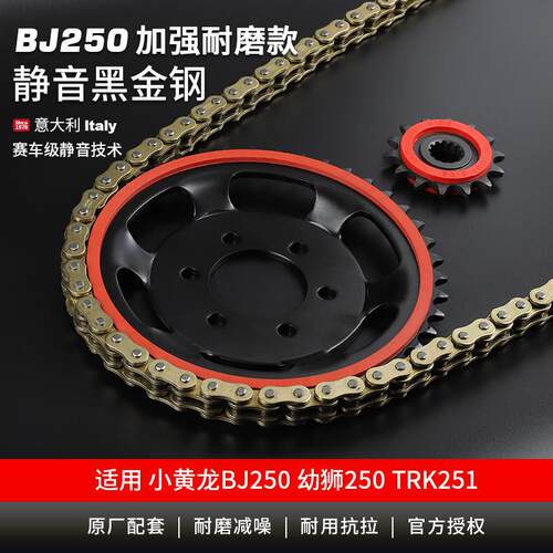 适用倍力尼小黄龙BJ250 幼狮250 TNT25静音大齿盘链轮征和油封链
