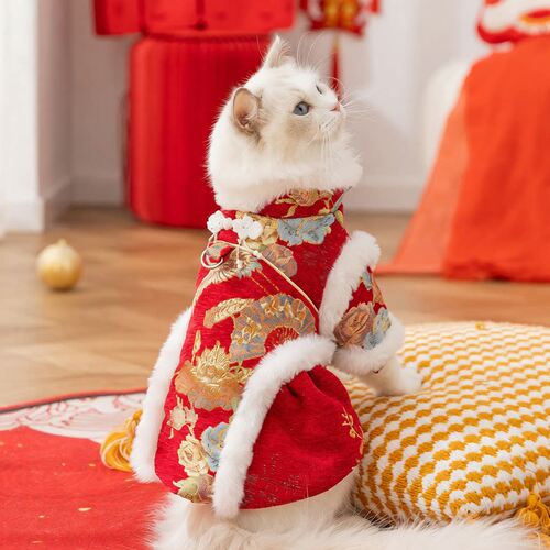 国风新中式猫咪唐装喜庆过年雪尼尔棉衣裙成幼猫秋冬保暖宠物衣服