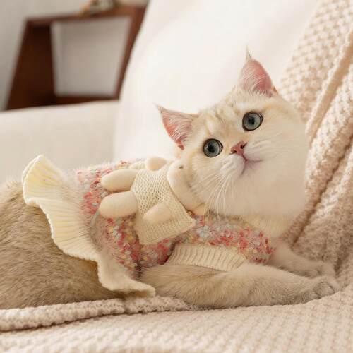立体小熊花纱猫咪裙子秋冬季保暖花边成幼猫服饰小狗狗宠物猫衣服