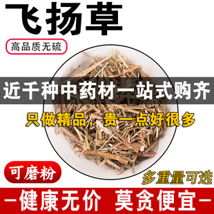 精品飞扬草中药材正品无硫大飞杨草新货节节花可免费代磨粉500克g