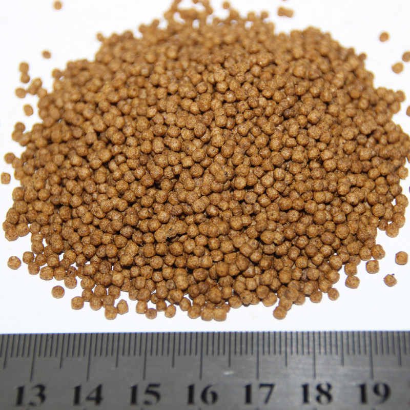 罗汉鱼起头鱼料 罗汉鱼饲料 增头攻头 罗汉鱼增艳增红鱼食 480g