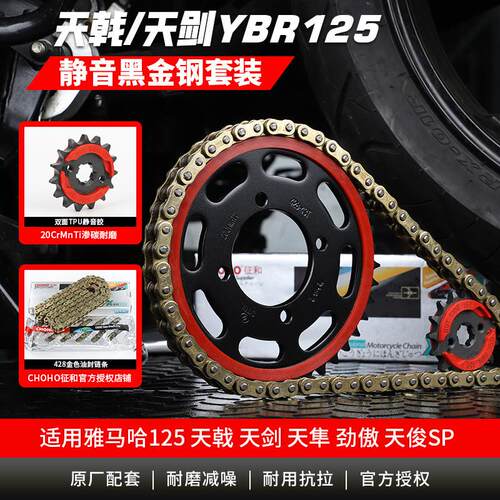 适用山叶机车天剑YBR125天戟JYM125天隼套炼大齿盘油封链条