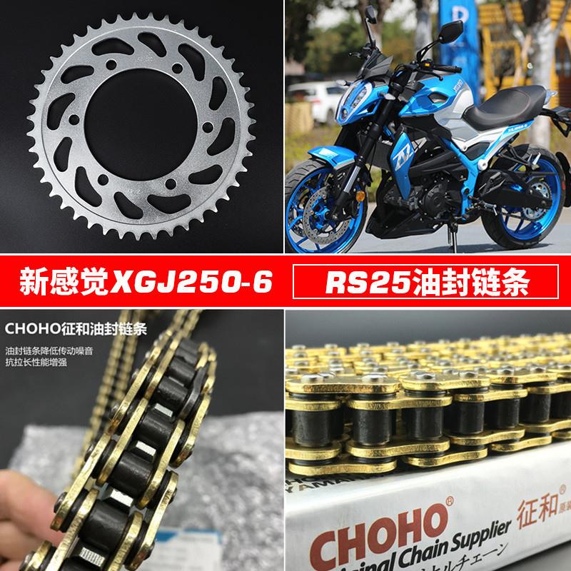 适用新感觉XGJ250-6C/RS25/250-6战狼牙盘链轮征和静音油封链条