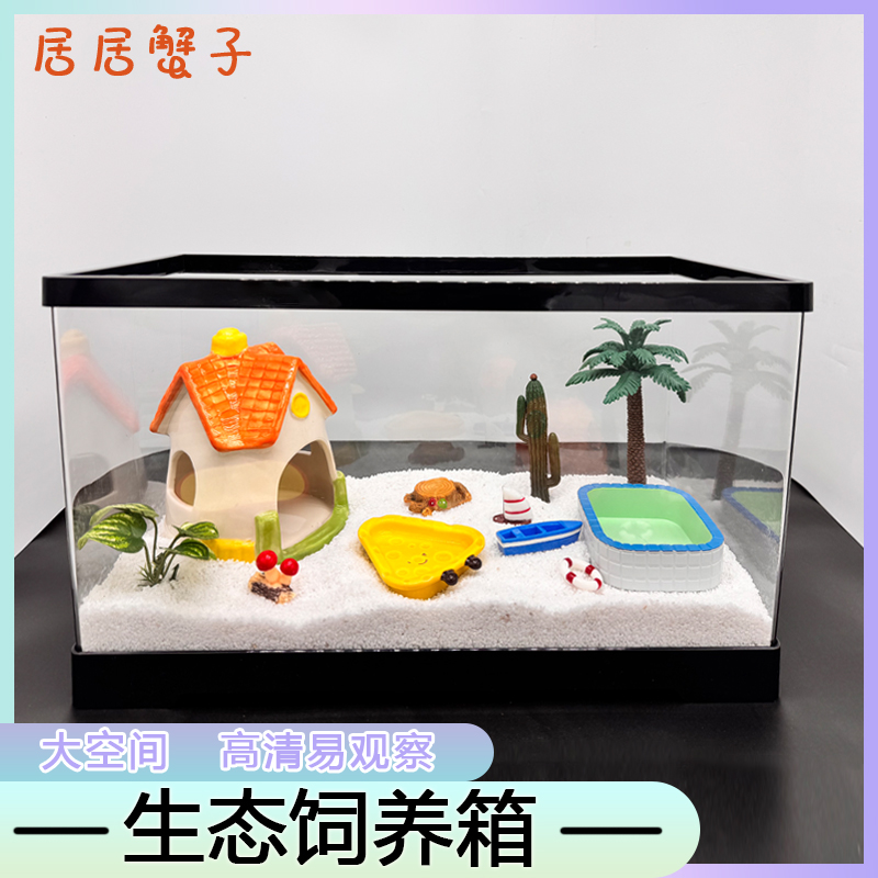 寄居蟹高清透明全景饲养箱儿童礼