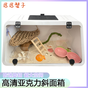 爬宠饲养箱寄居蟹饲养套餐超大斜面饲养箱乌龟缸爬宠造景水陆缸