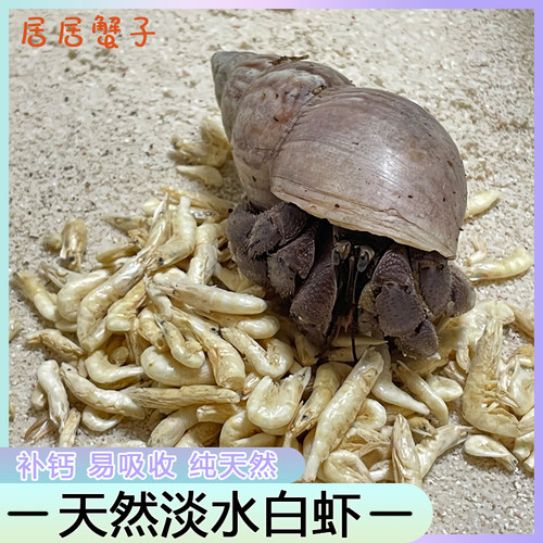 冻干虾寄居蟹粮食增色天然营养无添加饲料食物专用粮食爬宠乌龟