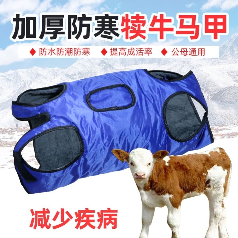 犊牛马甲加厚牛马甲小牛加绒防寒马甲牛犊子保暖防水棉衣犊牛衣服
