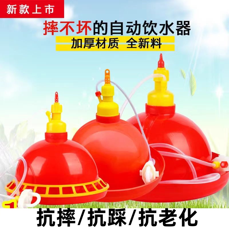 养殖鸡自动饮水器小鸡加水壶