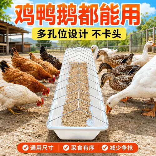 大号家禽养殖场用食槽多孔喂食