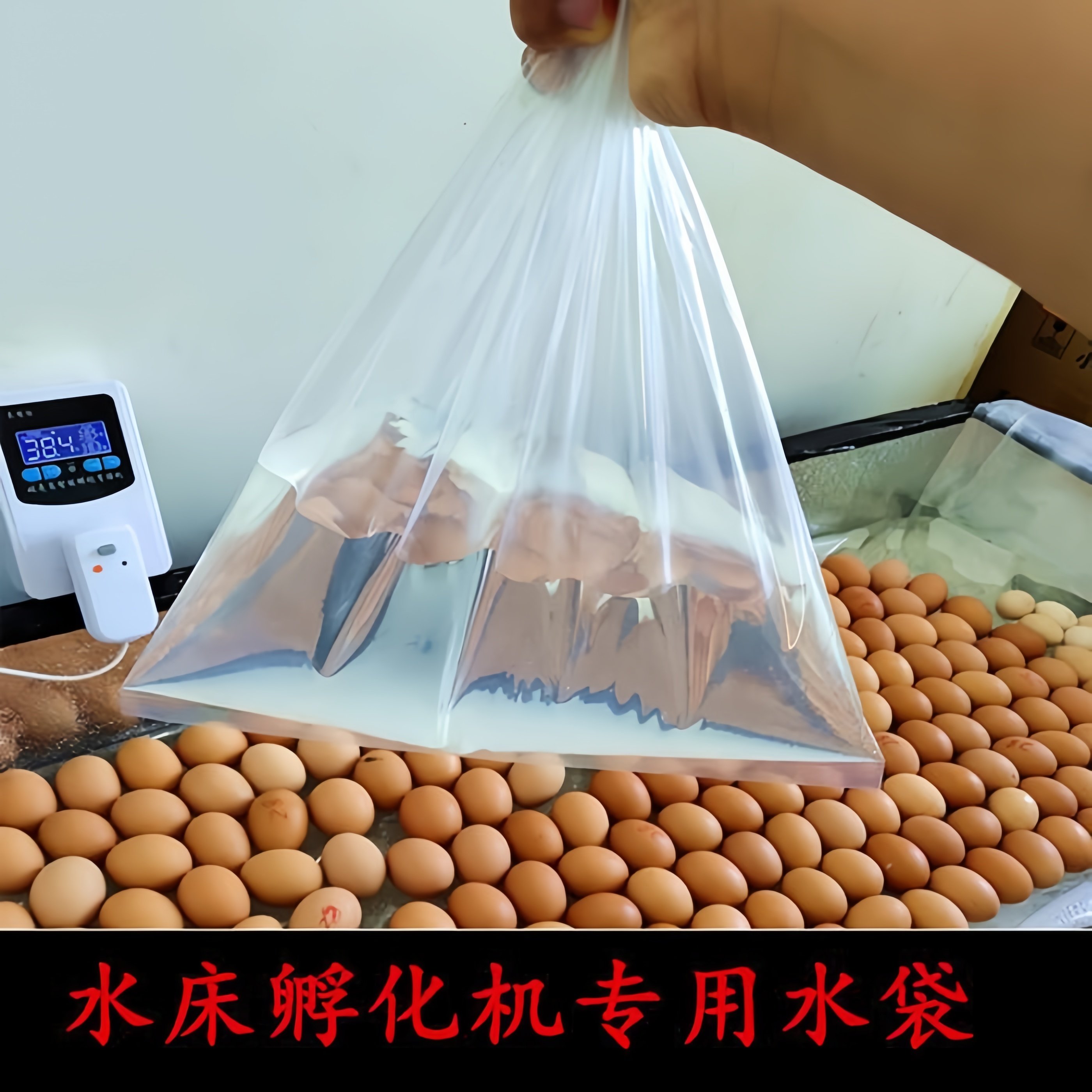 孵化水袋孵化袋子加厚水袋水床孵化机专用水袋自制水床孵化机配件,畜牧/养殖物资,畜牧/养殖器械,淘宝优惠券,粉丝福利购,淘宝优惠卷