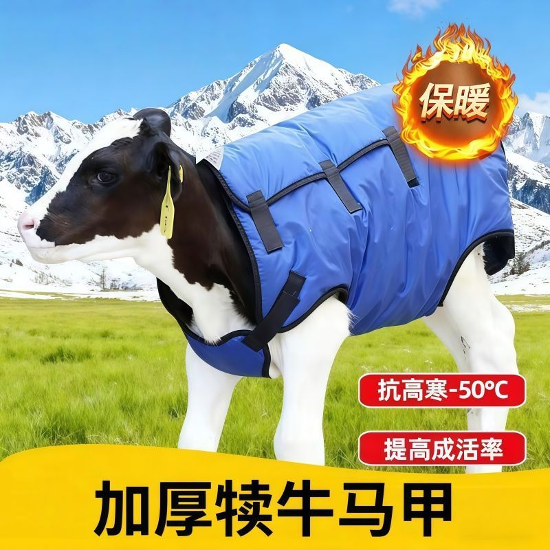 牛犊马甲防寒衣护肚冬季加厚
