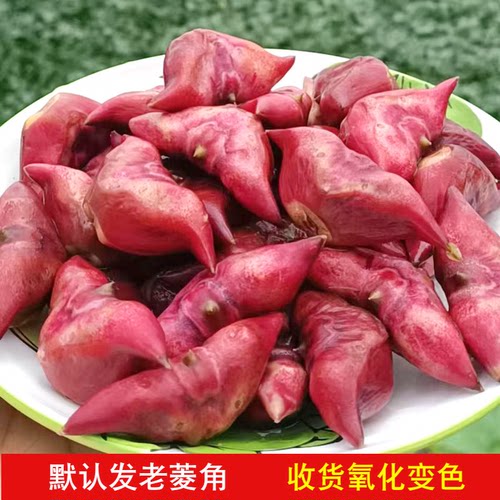 菱角新鲜现摘吃水果安徽特产蔬菜