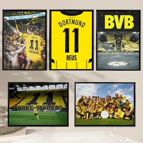 多特蒙德罗伊斯装饰画相框海报挂画铝合金实木照片墙摆挂框壁画