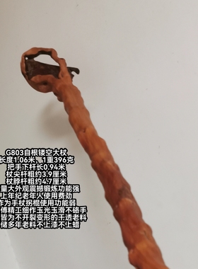 G803号云南对节木祥龙木降龙木手杖拐棍登山杖老料大重量锻炼为主