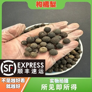 枸橘梨中药材店铺中草药枸橘梨 枸橘果 苦橘子 臭枳子枸橘李整个