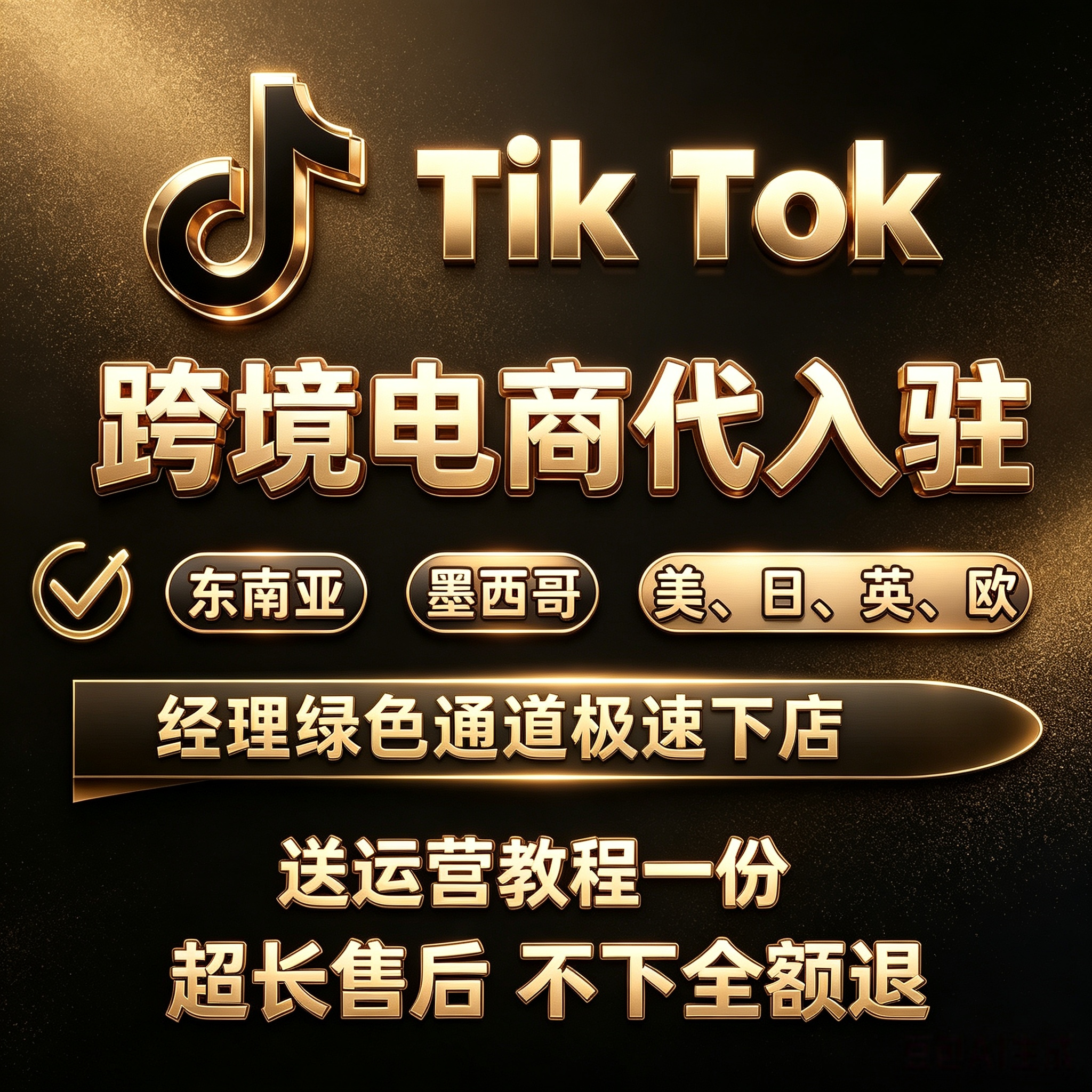tk入驻日本东南亚欧盟第三方资质流水代开店现店本土跨境店铺咨询图片