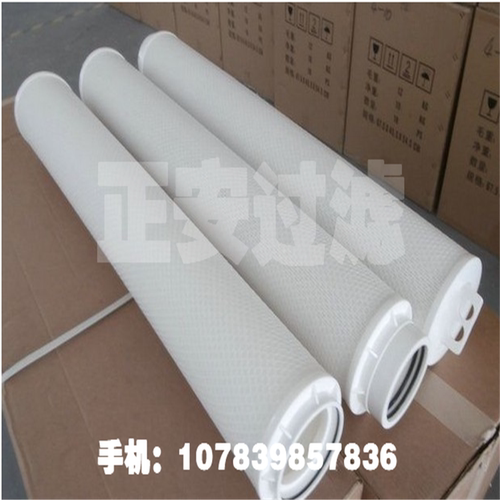 前置过滤大流量水滤芯HFU660UY200J_保安过滤器滤芯JH-M-PP4005