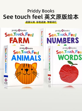 See Touch Feel 英文原版绘本4册 低幼触觉视觉嗅觉感官认知 A First Sensory Book 0-3岁低幼儿童早教启蒙绘本亲子互动单词触摸书