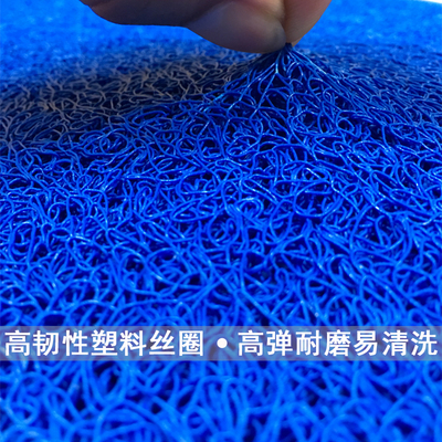蓝色家用出入平安门垫入户进门门口地垫塑料防滑地毯户外门厅脚垫
