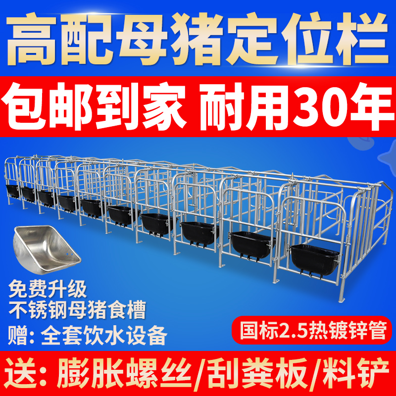 母猪定位栏加厚热镀2.5漏粪板限位栏5位10位猪产床保育床养殖设备