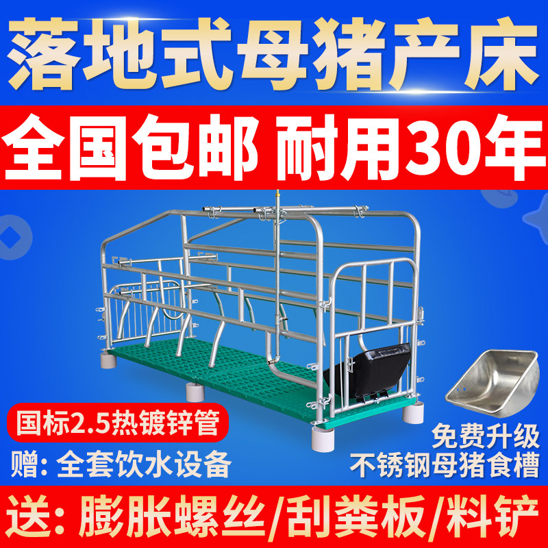 带板落地式母猪产床热镀2.5加厚母猪产床定位栏保育床养猪场设备