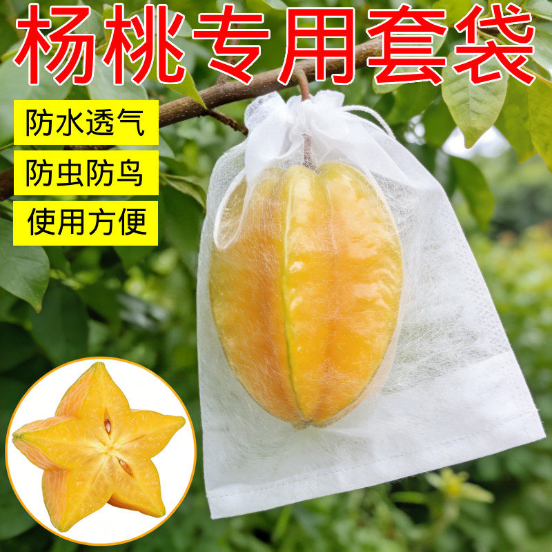 无纺布葡萄水果套袋自带拉绳防虫防鸟透光透气防雨果蝇套园艺用品