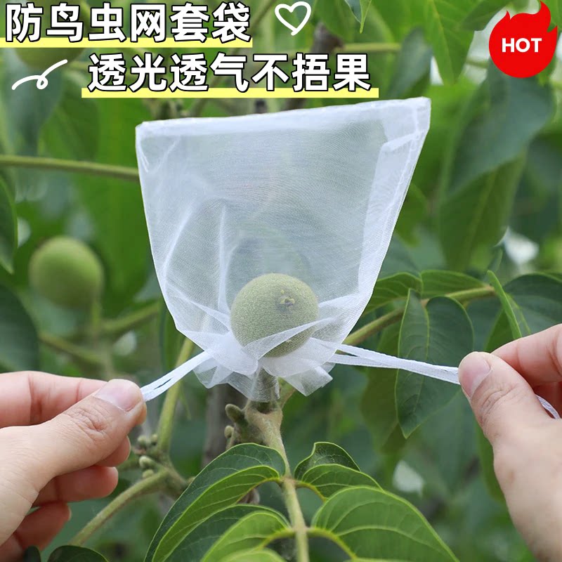 水果套袋防鸟网纱袋防虫专用袋