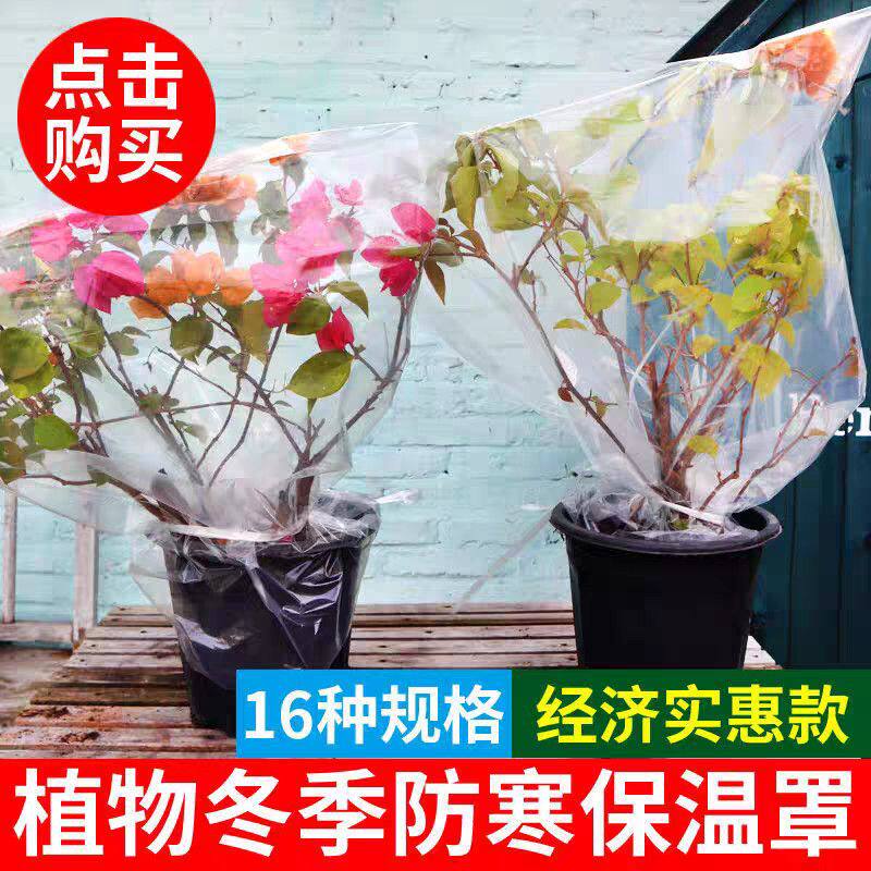 透明加厚植物防寒罩冬季防冻保温保湿袋套盆栽绿植花卉过冬保护罩