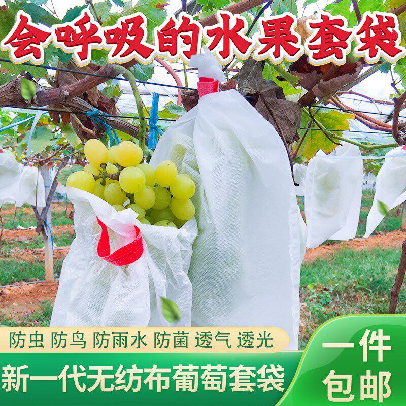 水果套袋防鸟无纺布瓜果防虫专用袋无花果枇杷葡萄桃子草莓保护袋