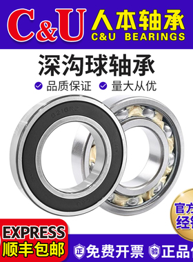 人本轴承6216TD高端6217高速6218 6219 6220 6221 6222 6224 2RZ