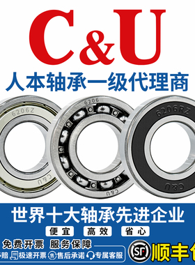 6201人本6203轴承6204高速6205电机6206大全6308正6200 6202 6309